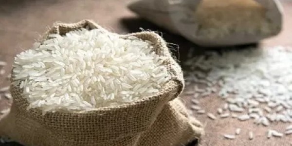 تصویر 4 از خرید و فروش برنج شمیم نورآباد با شرایط فوق العاده